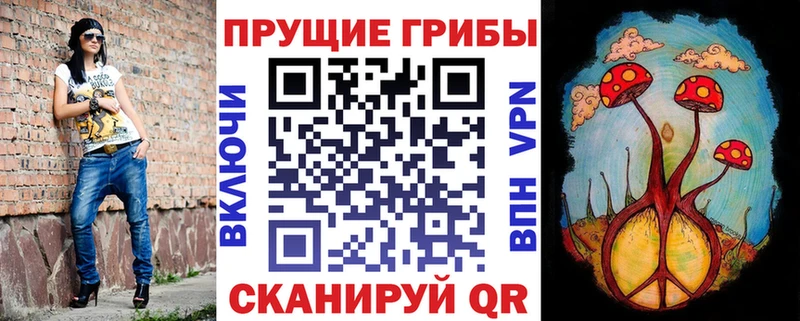 Псилоцибиновые грибы Psilocybe  Купить где  Радужный 